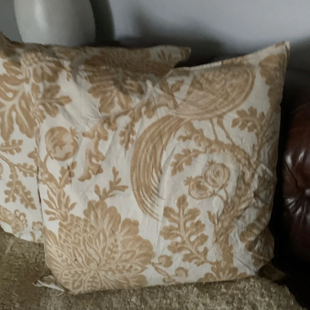 Pottery Barn great insert