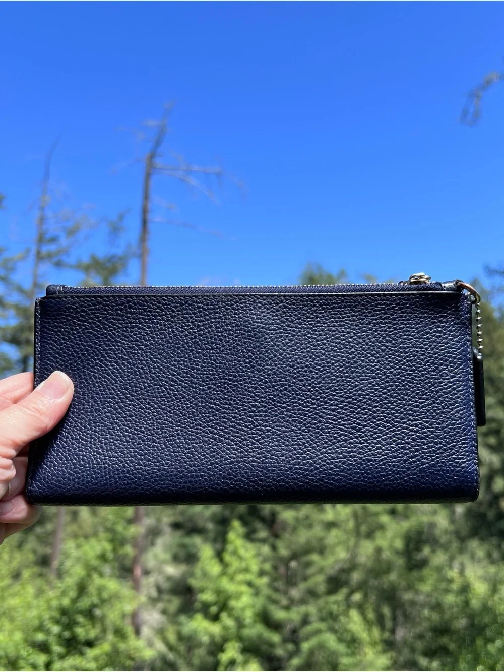 Coach gold navy