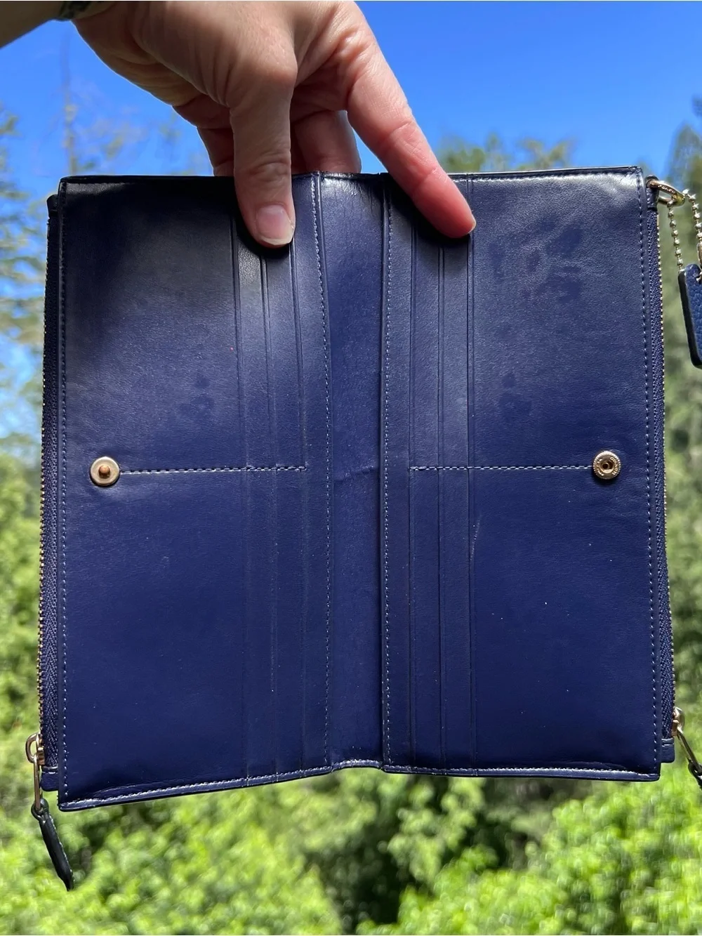 Coach gold navy