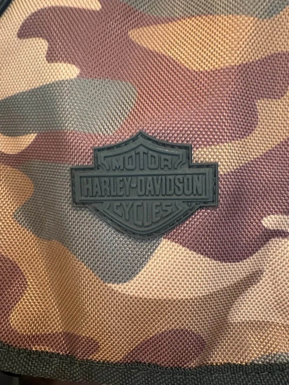 Harley-Davidson has big