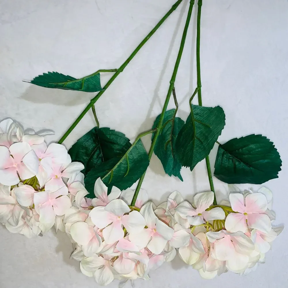 N/A hydrangea three