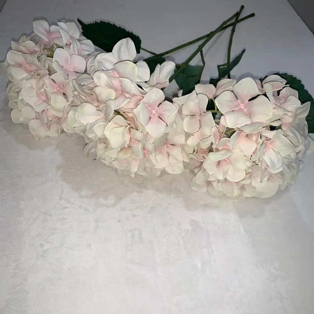 N/A hydrangea three