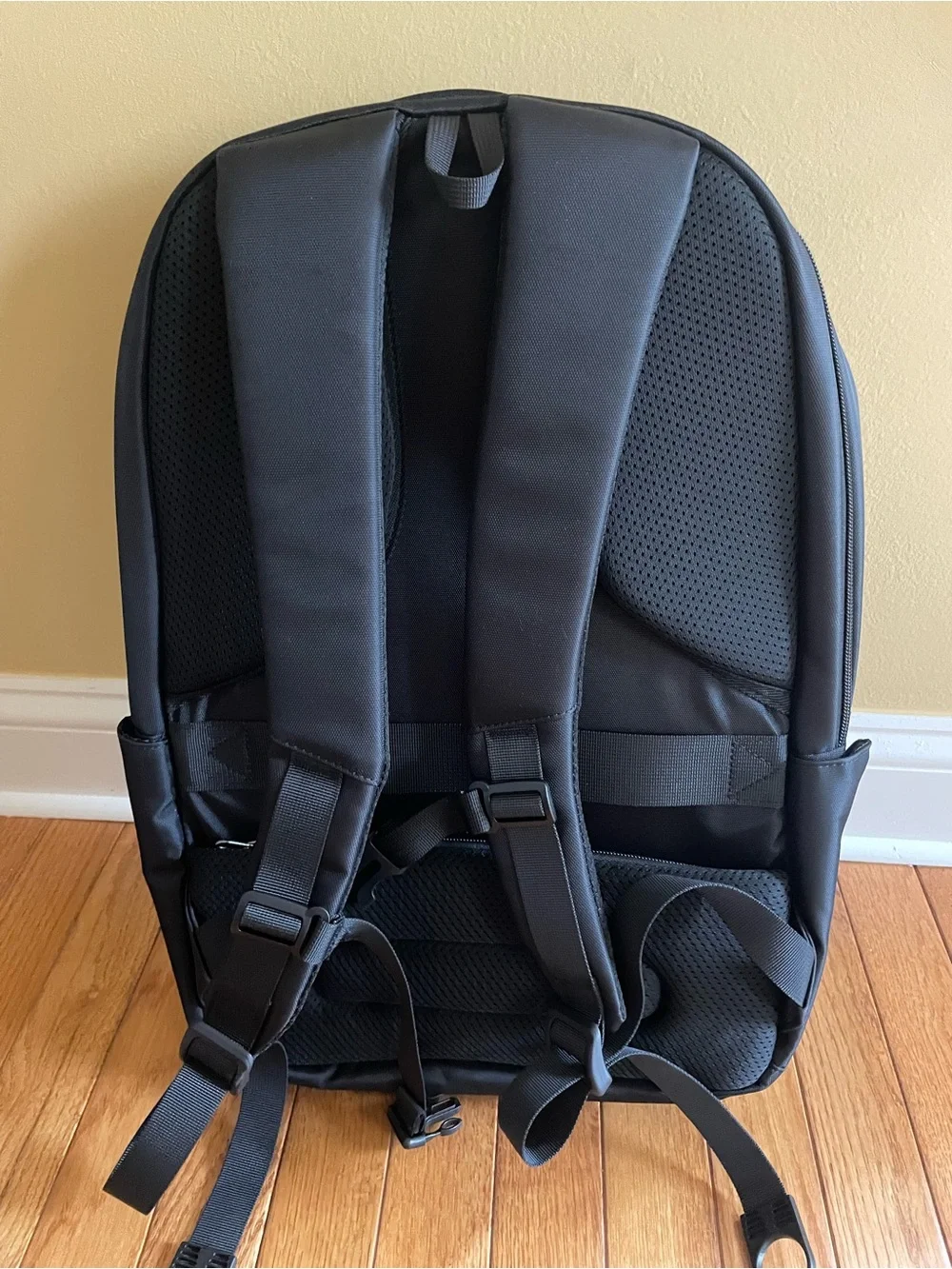 Titan sleek backpack