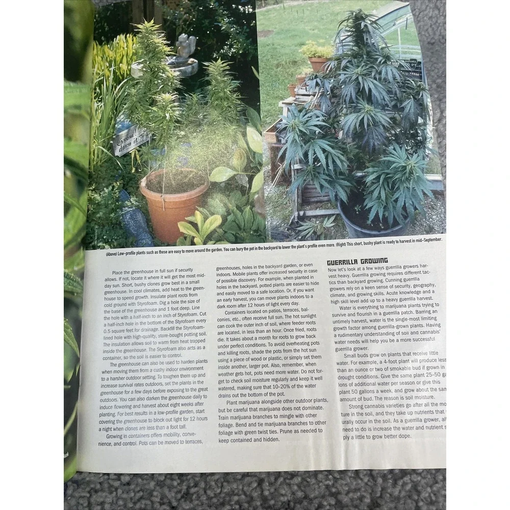 N/A high times