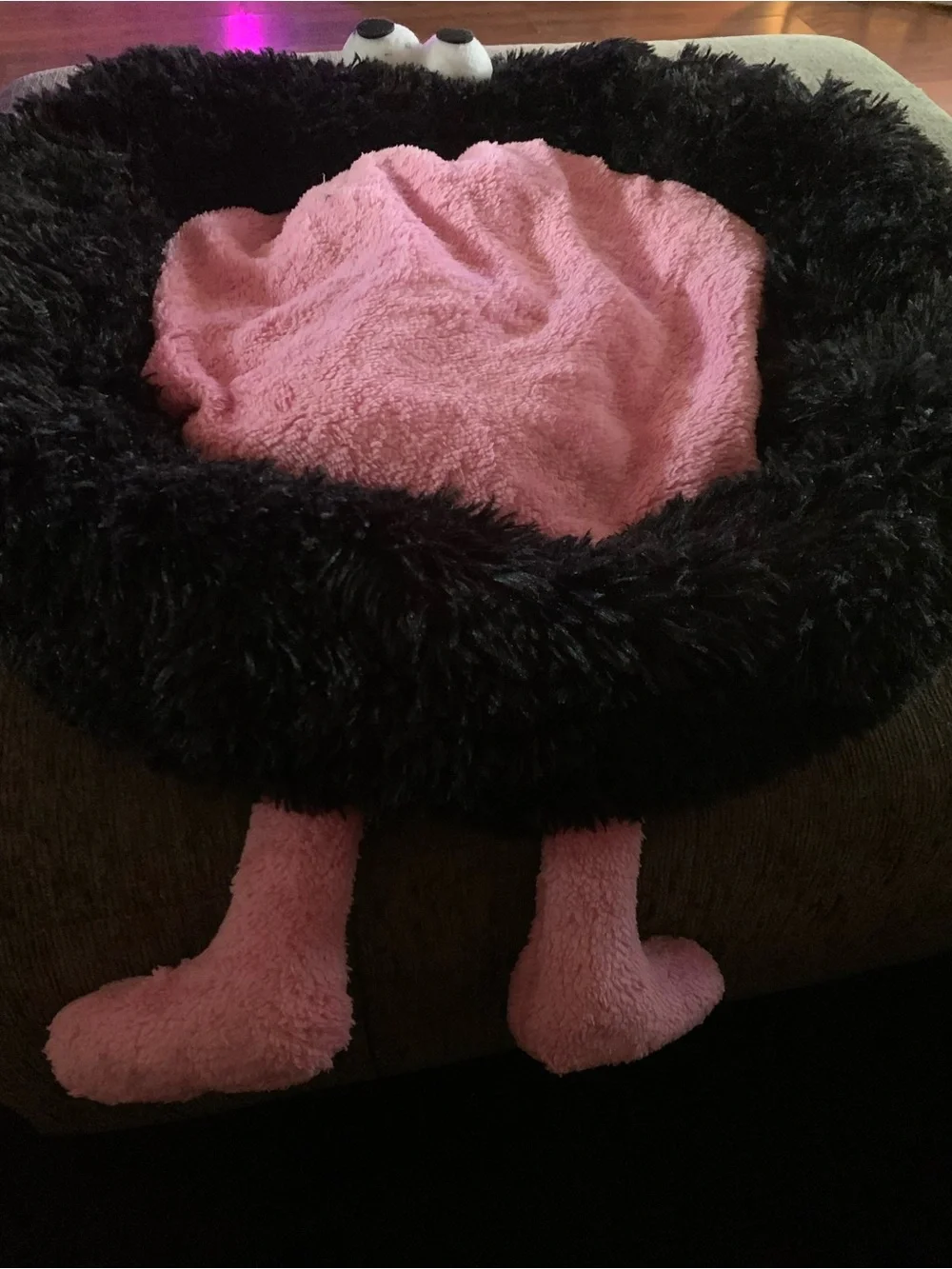 N/A soft plush
