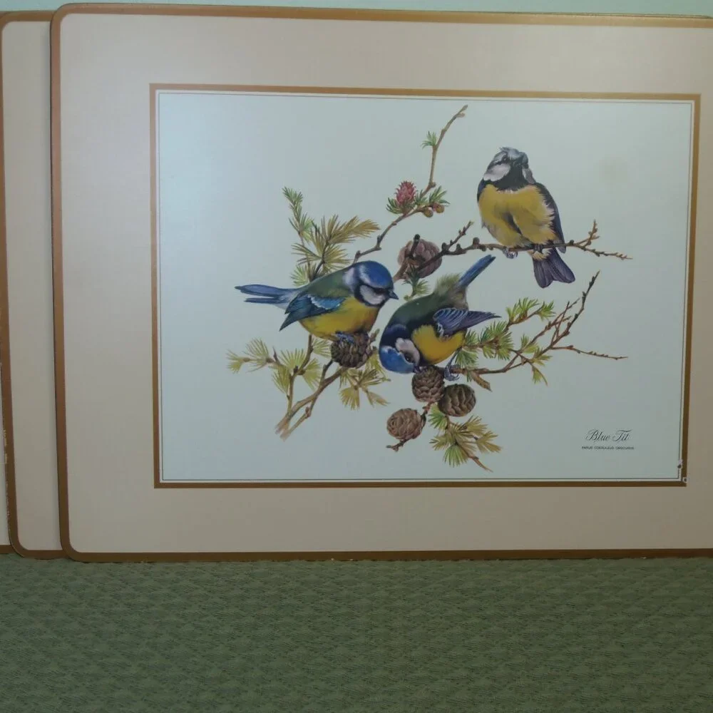 Vintage‎ Placemat Place boards Bird Pictures Set -4 Table Settings Cottage Core