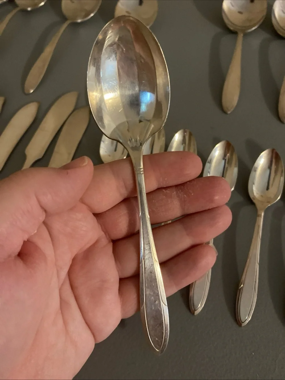 Oneida polished nobility