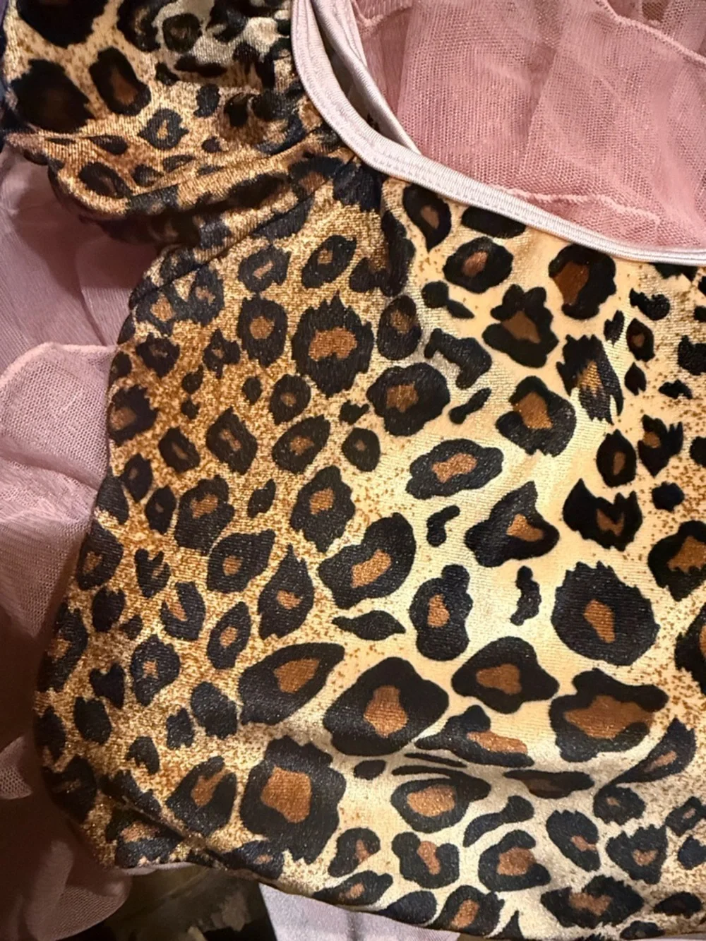 Leopard Bodice Pink Tulle Party Dress for Kids