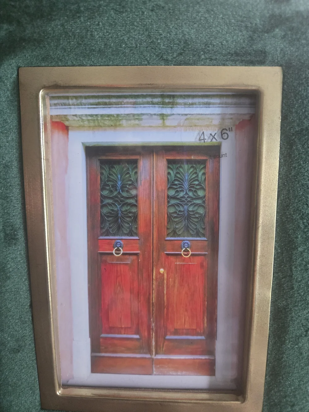 Opalhouse Plush Green Velvet and Gold Inner Trim Picture Frame 4 X6 NWT