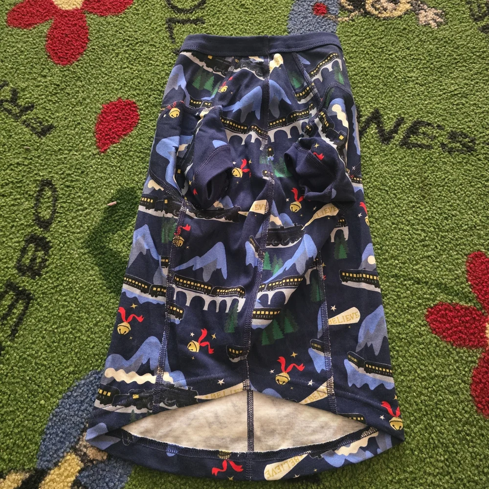 Hanna Andersson Blue Graphic Skirt