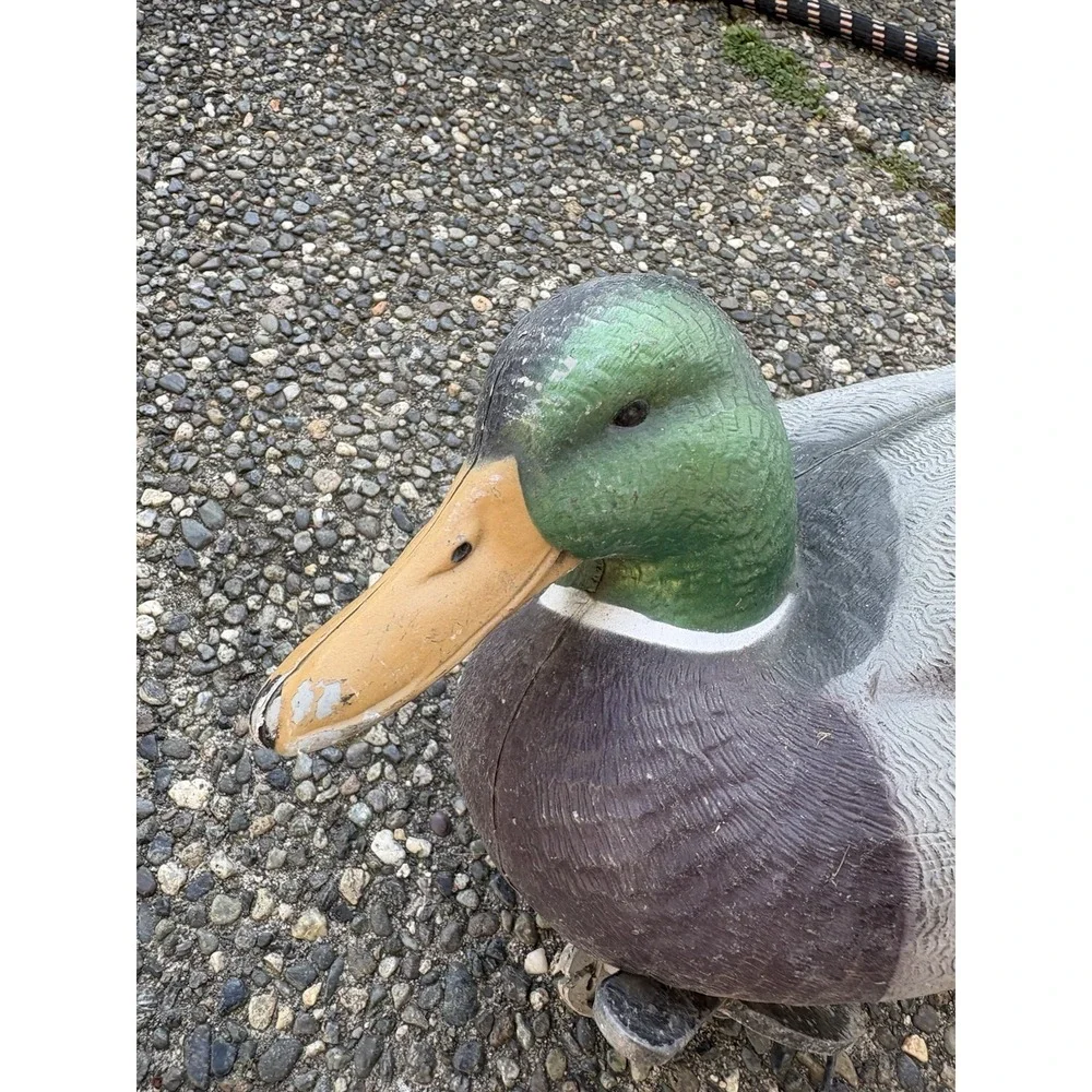 Avery Greenhead Gear see photos