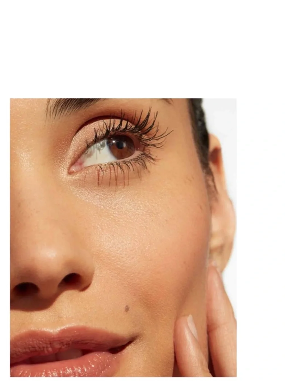 beautycounter beauty counter