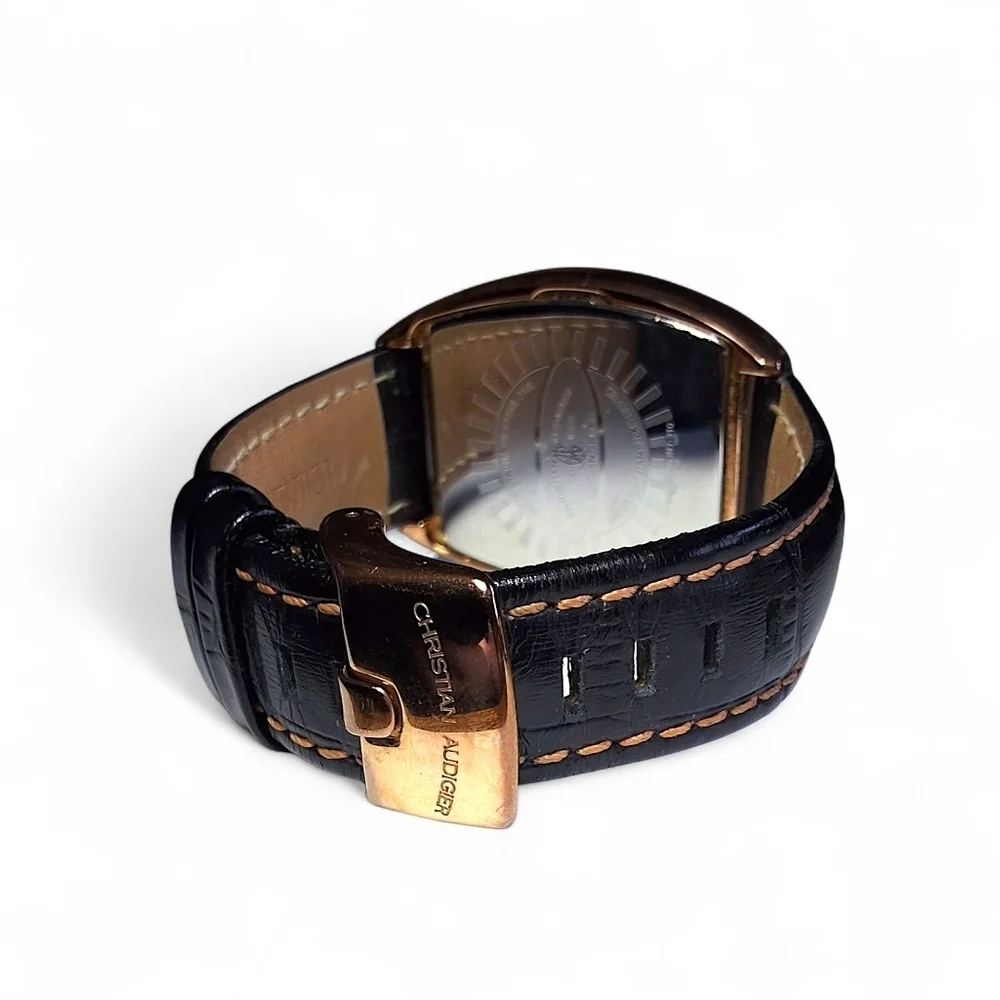 Christian Audigier christian audigier