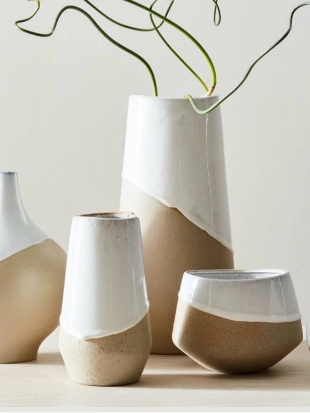 West Elm beautiful vase