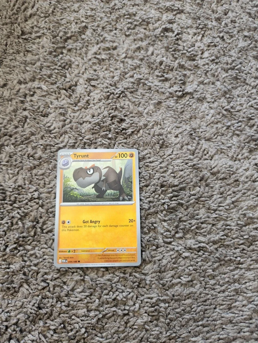 Pokemon tyrunt me