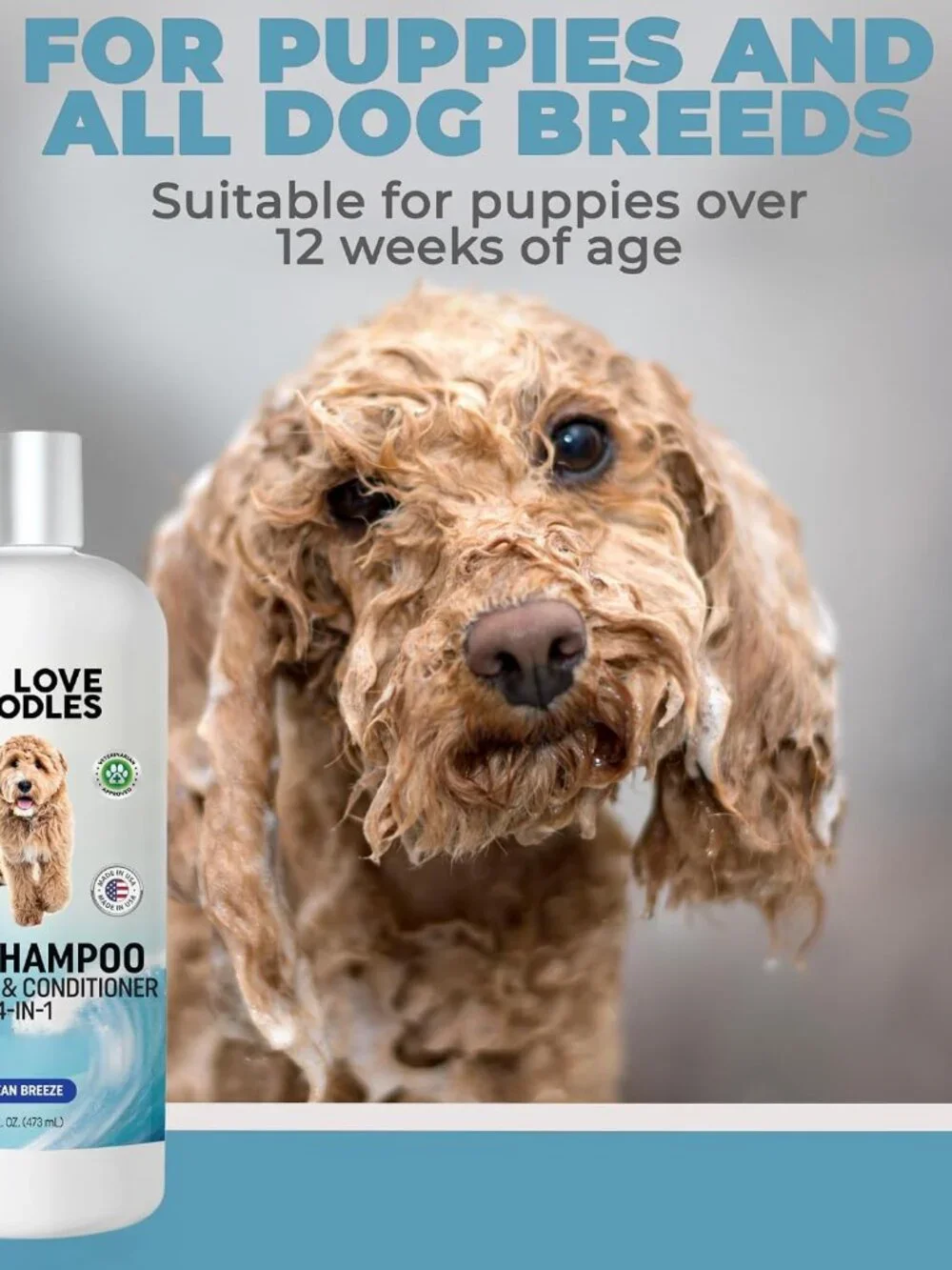 We Love Doodles dog shampoo