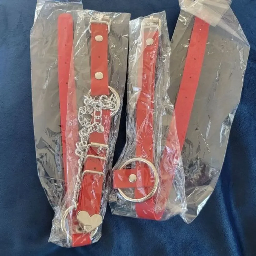 eigso red dog