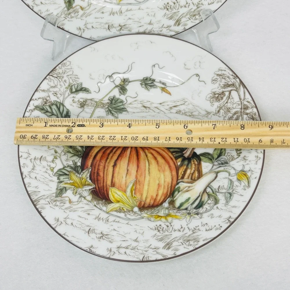 Williams Sonoma 2025 Pumpkin Salad Plates Set of 2 Harvest Gourd Toile 9 Inch