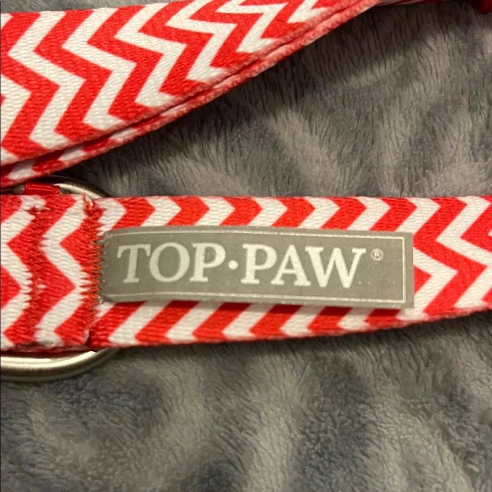 Top Paw vibrant chevron