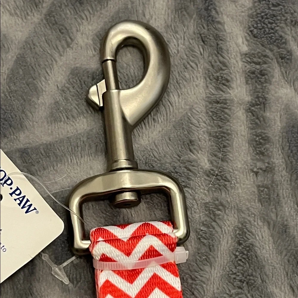 Top Paw vibrant chevron