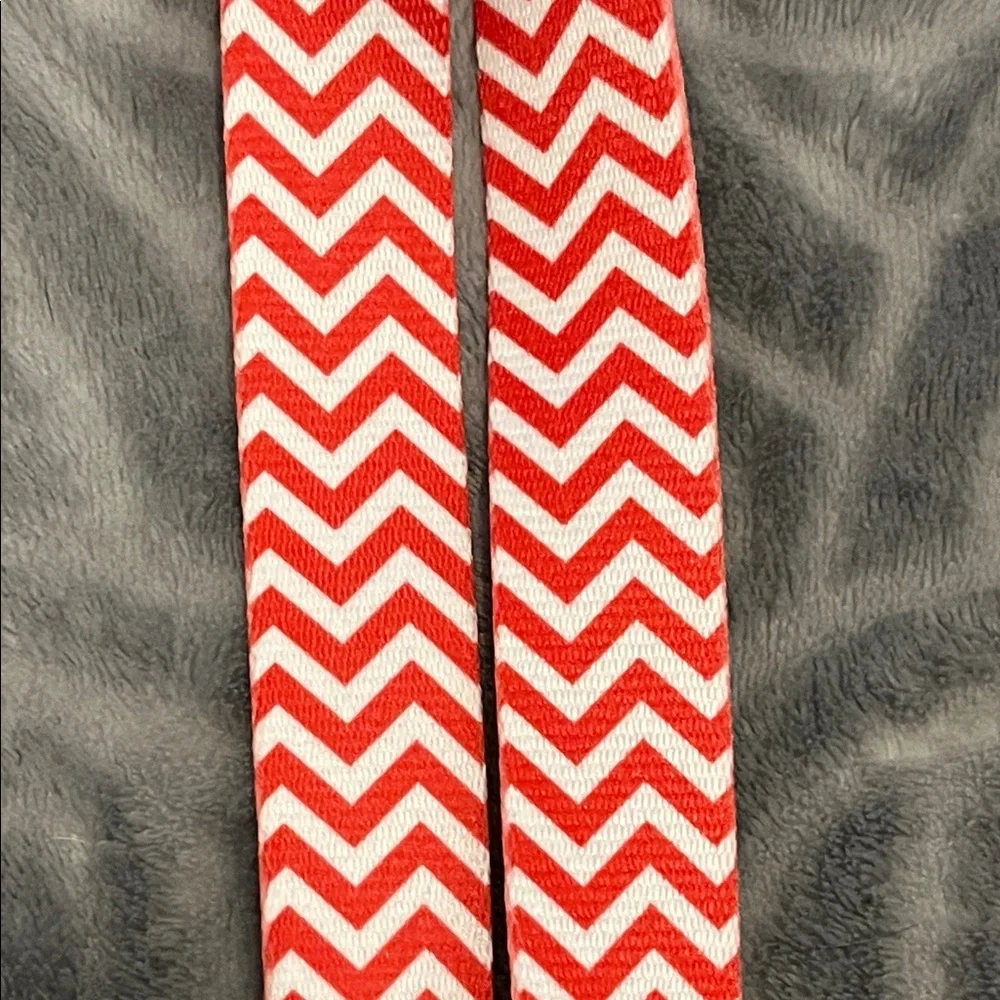 Top Paw vibrant chevron