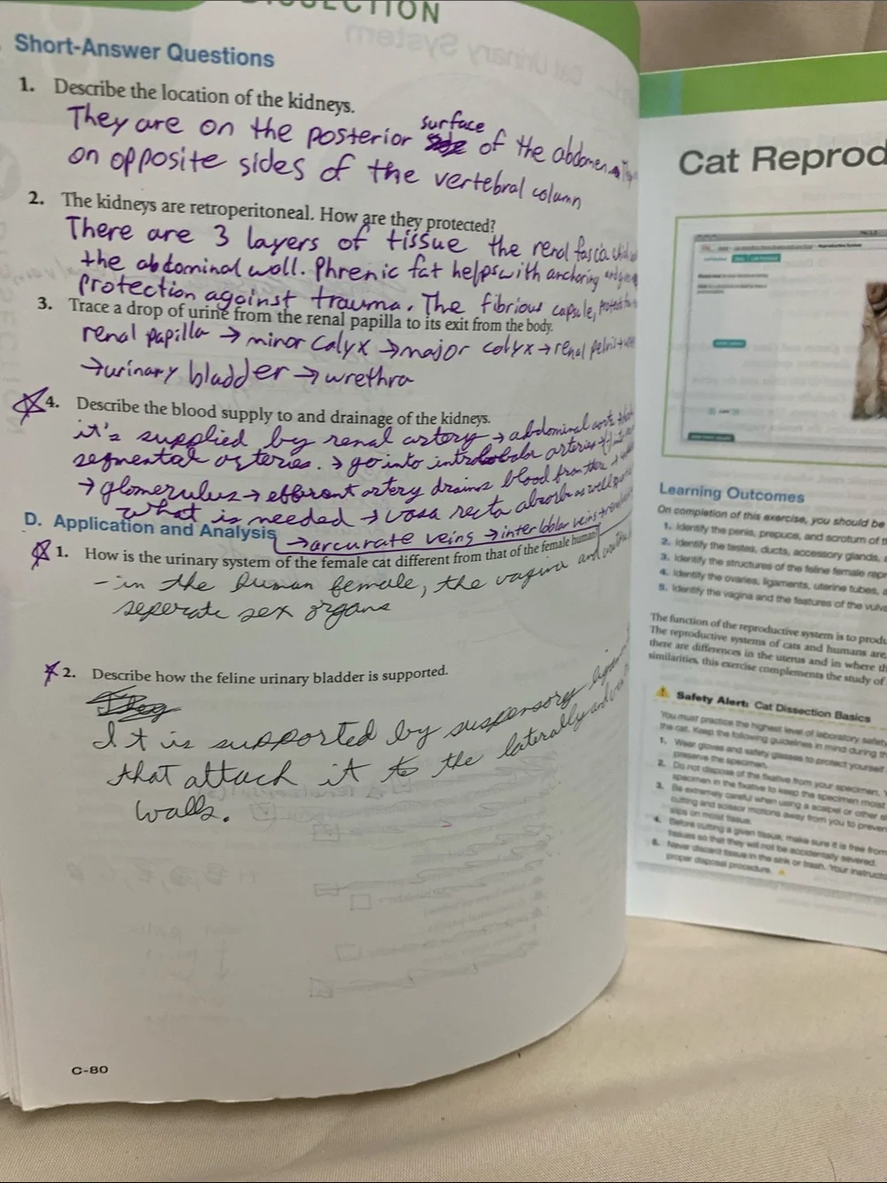 Pearson laboratory manual