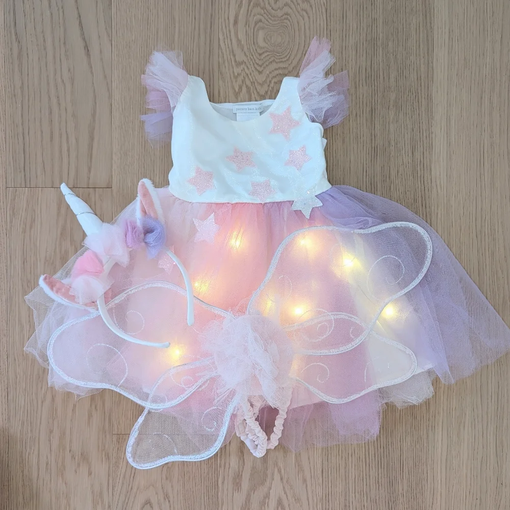 Pottery Barn Kids charming dress