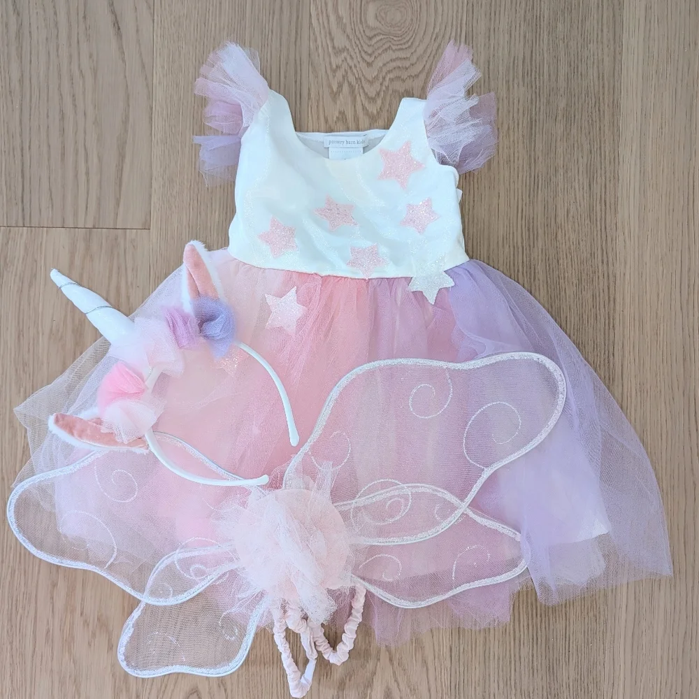 Pottery Barn Kids charming dress