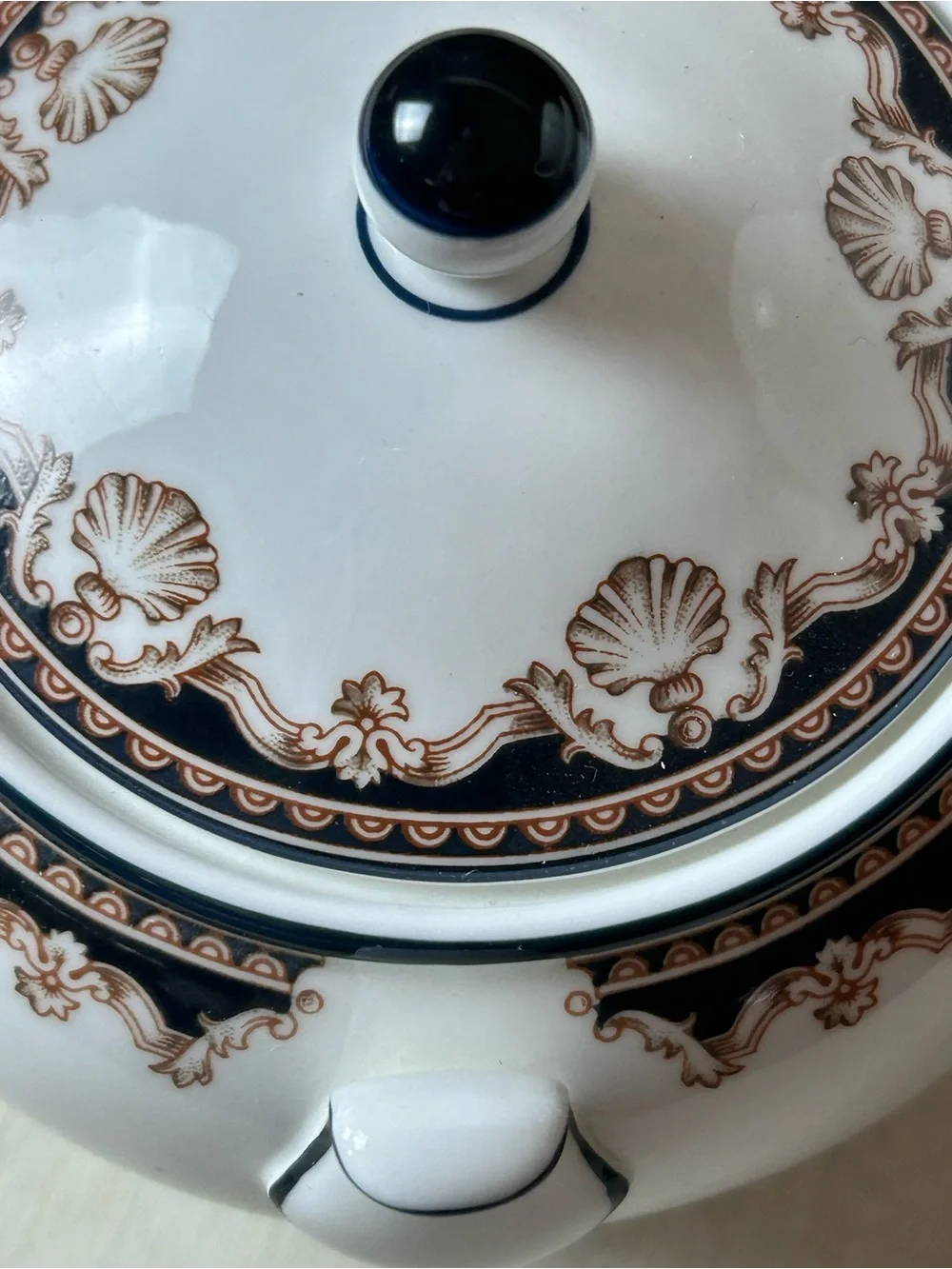 Wedgwood shells glossy