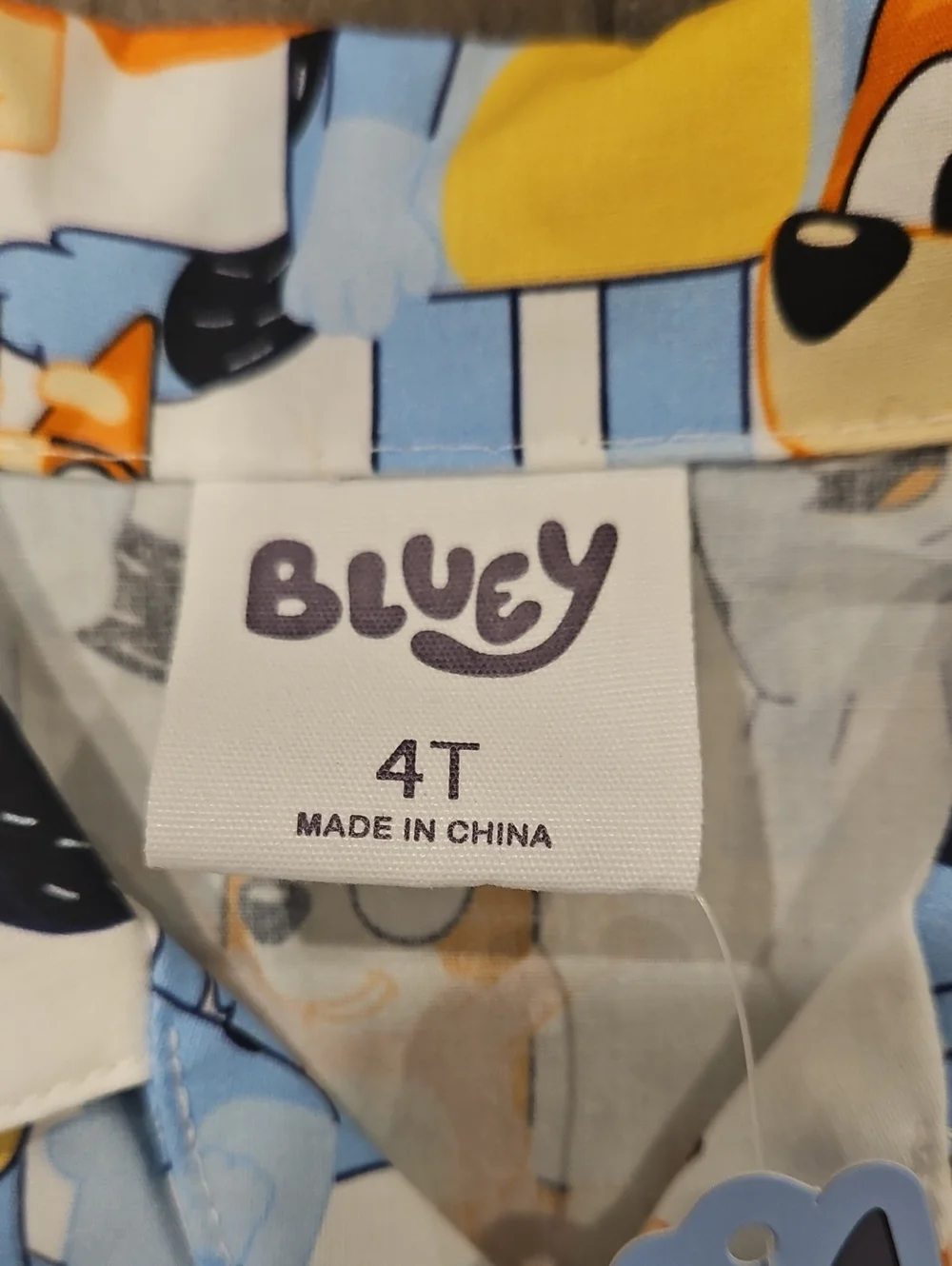 Bluey top camp
