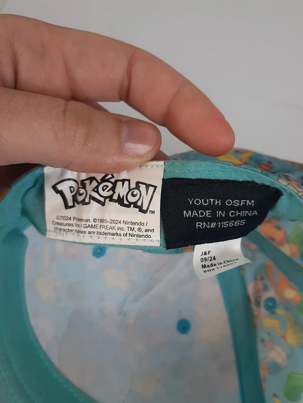 Pokemon 2024 questions comment