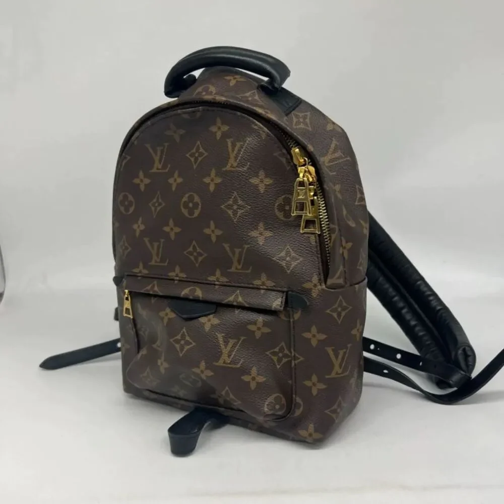 Louis Vuitton brand louis