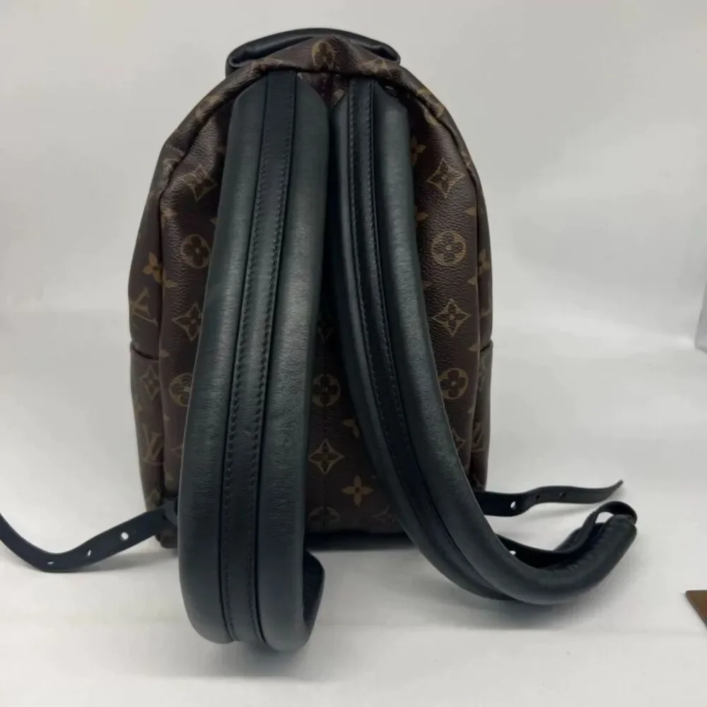 Louis Vuitton brand louis