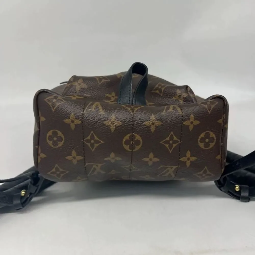 Louis Vuitton brand louis