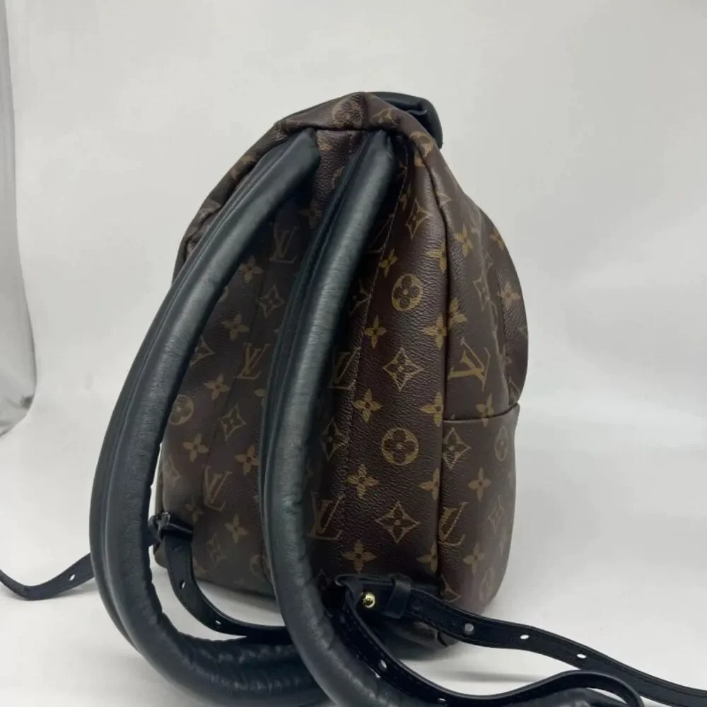 Louis Vuitton brand louis
