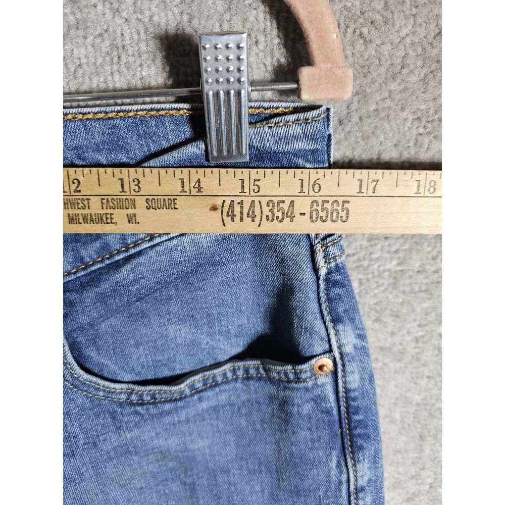 Levis levis 559