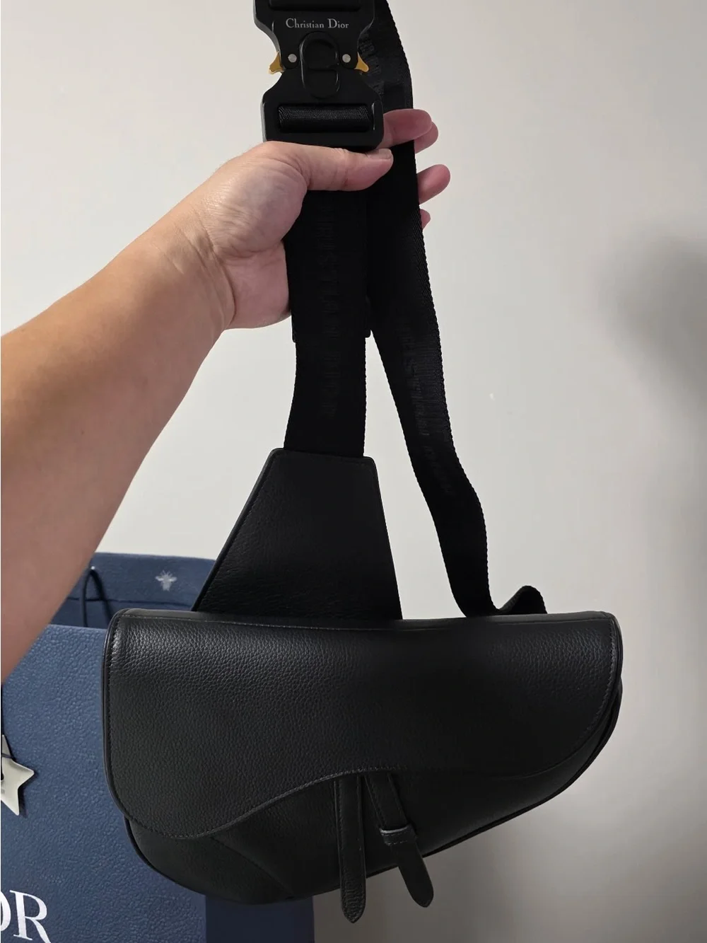 Dior iconic saddle