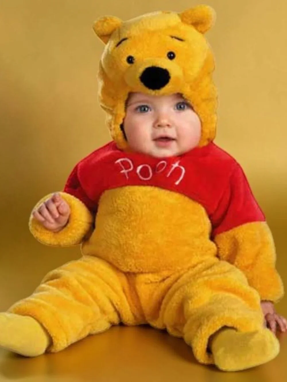 Disquise disney winnie