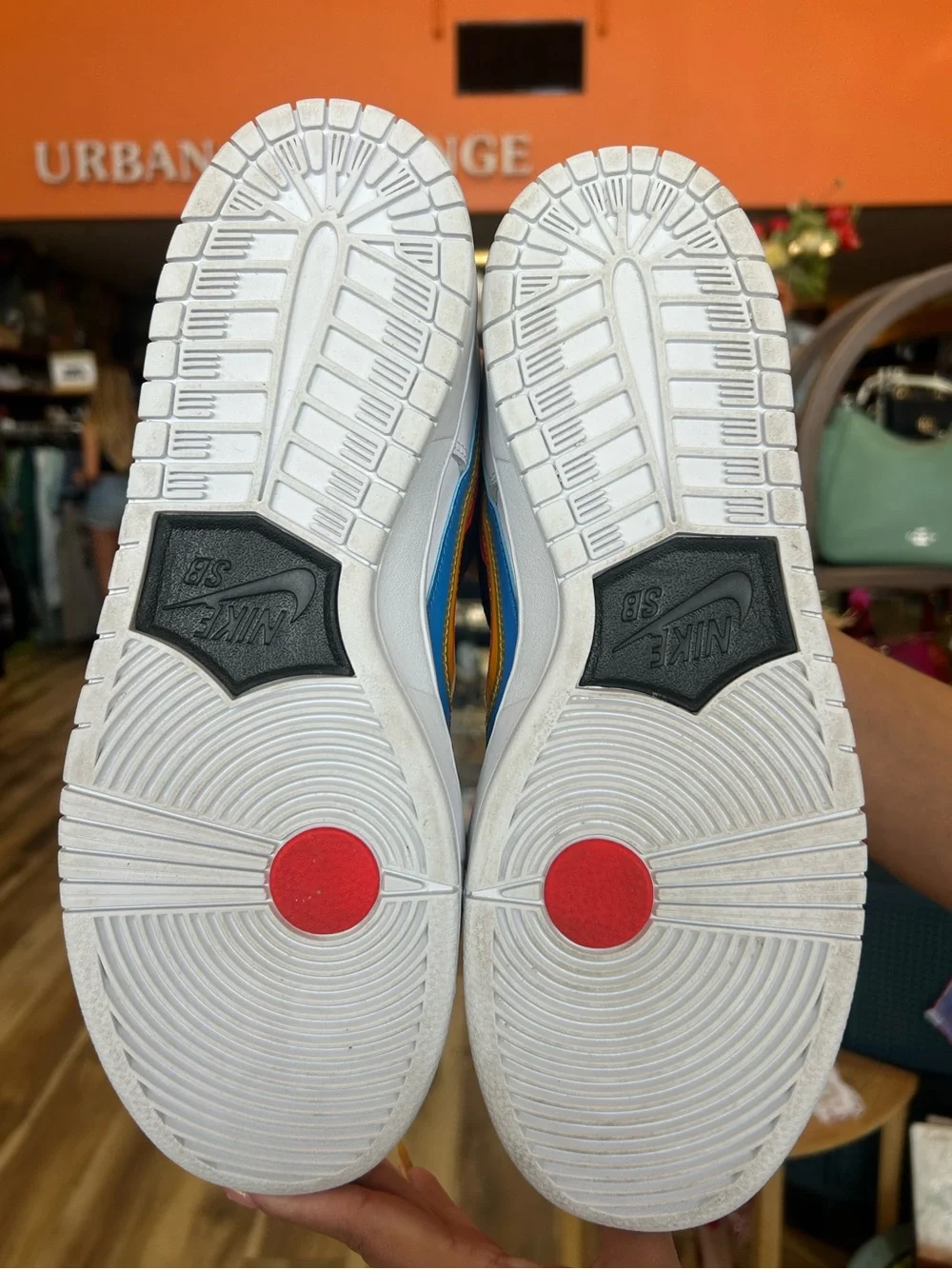 Nike polaroid sb