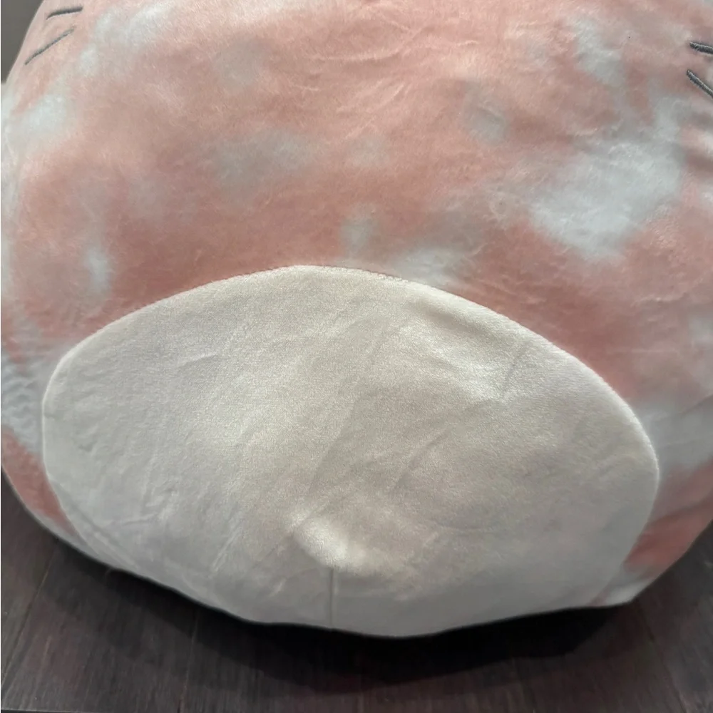 Squishmallows new tags