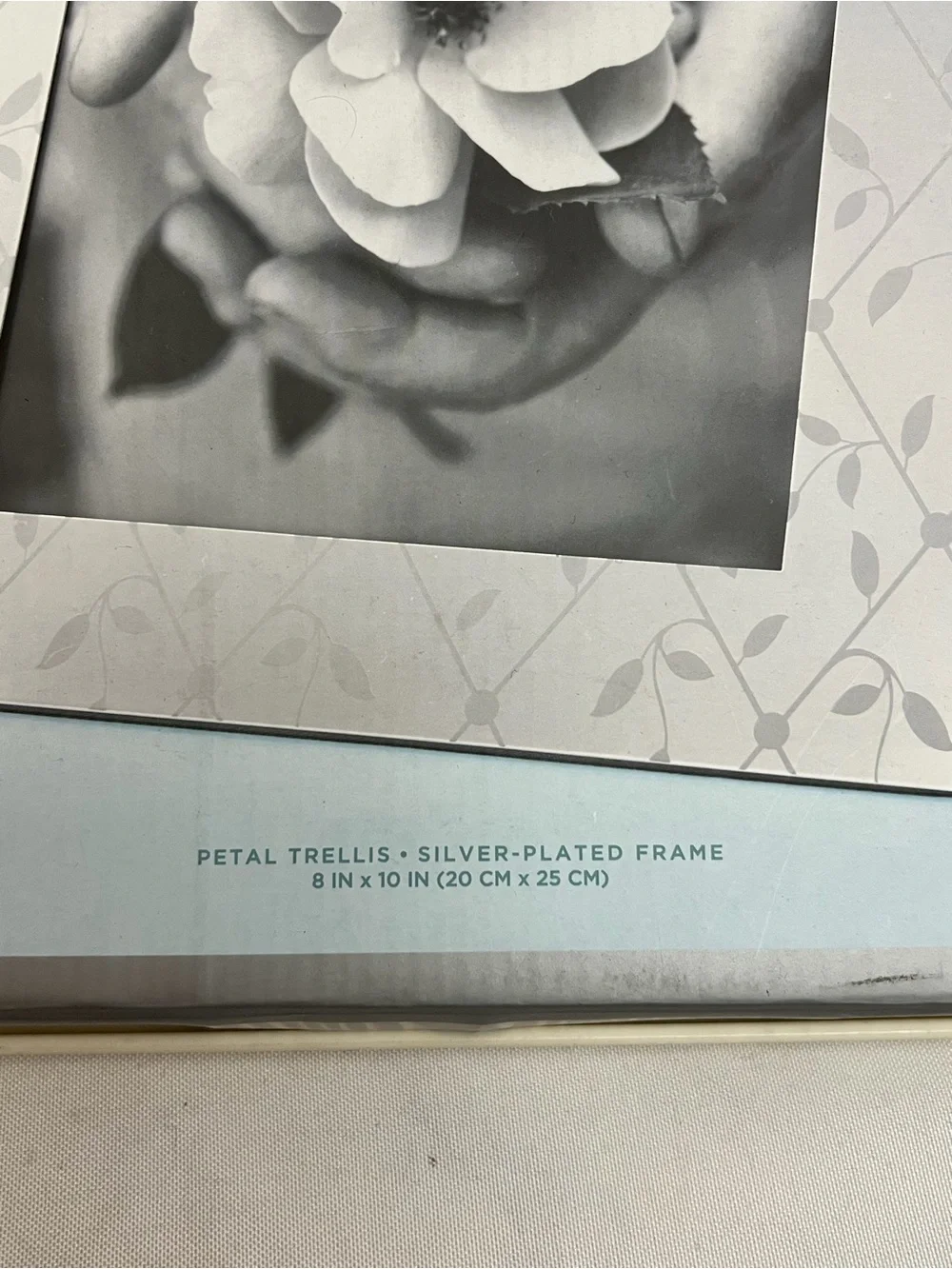 Martha Stewart Collection Petal Trellis Silver Plated 8x10 Picture Frame Floral