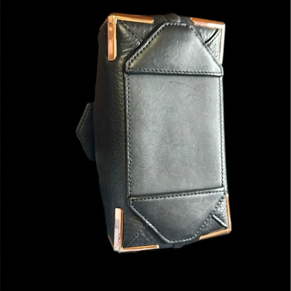 Alexander Wang alexander wang