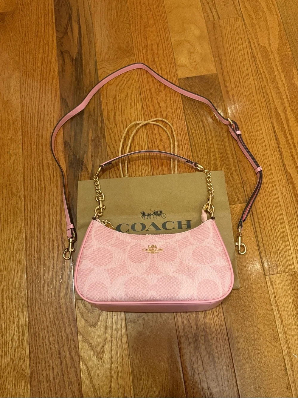 Coach front chain