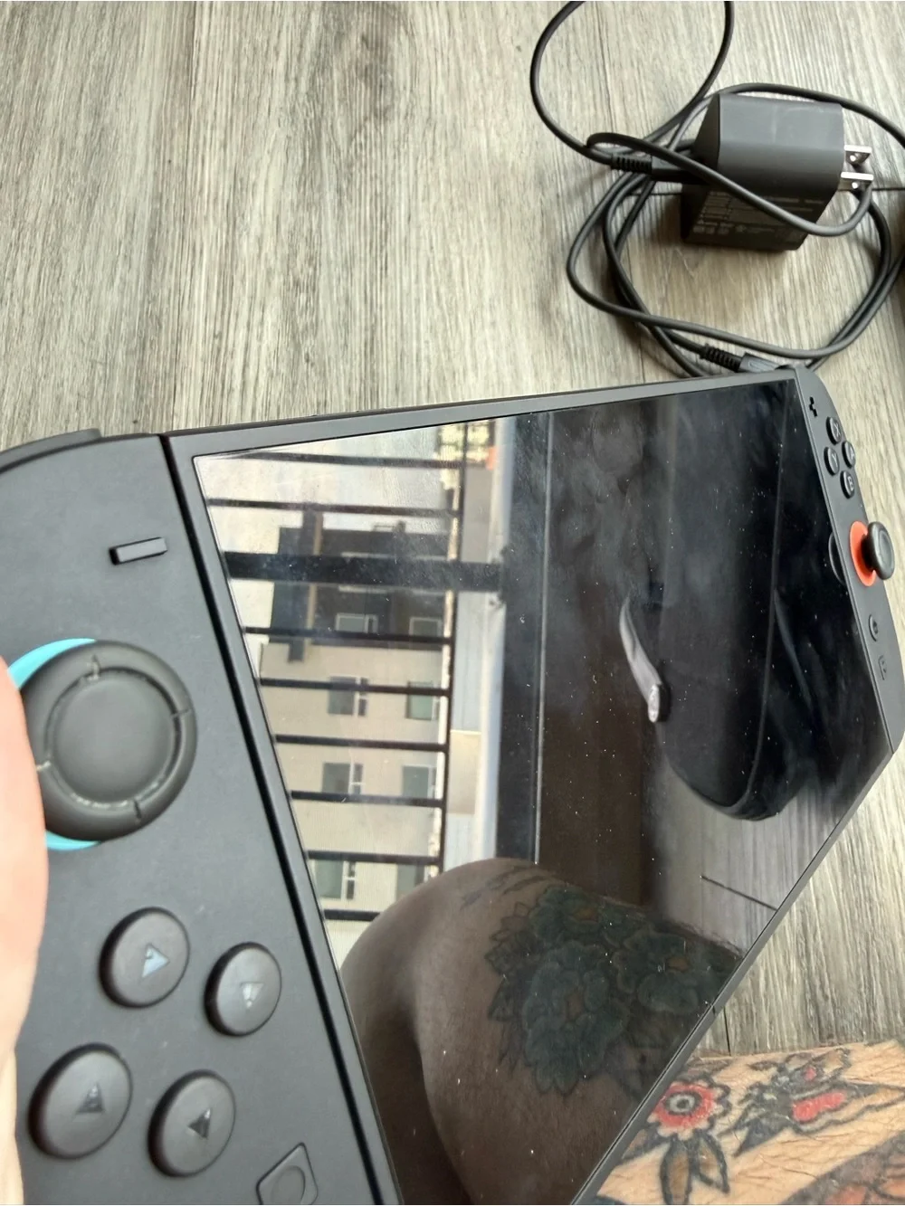 Nintendo portable switch