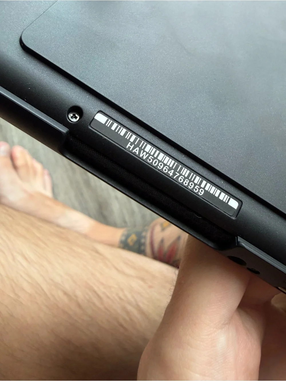 Nintendo portable switch