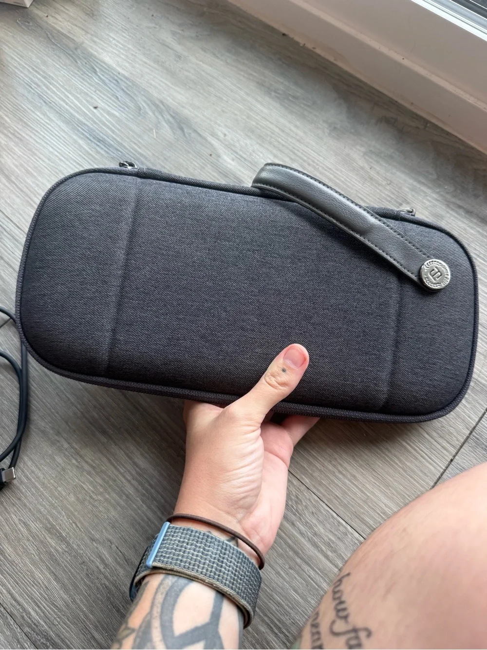 Nintendo portable switch
