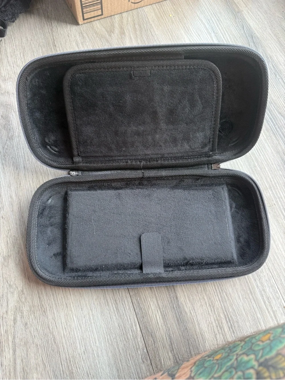 Nintendo portable switch