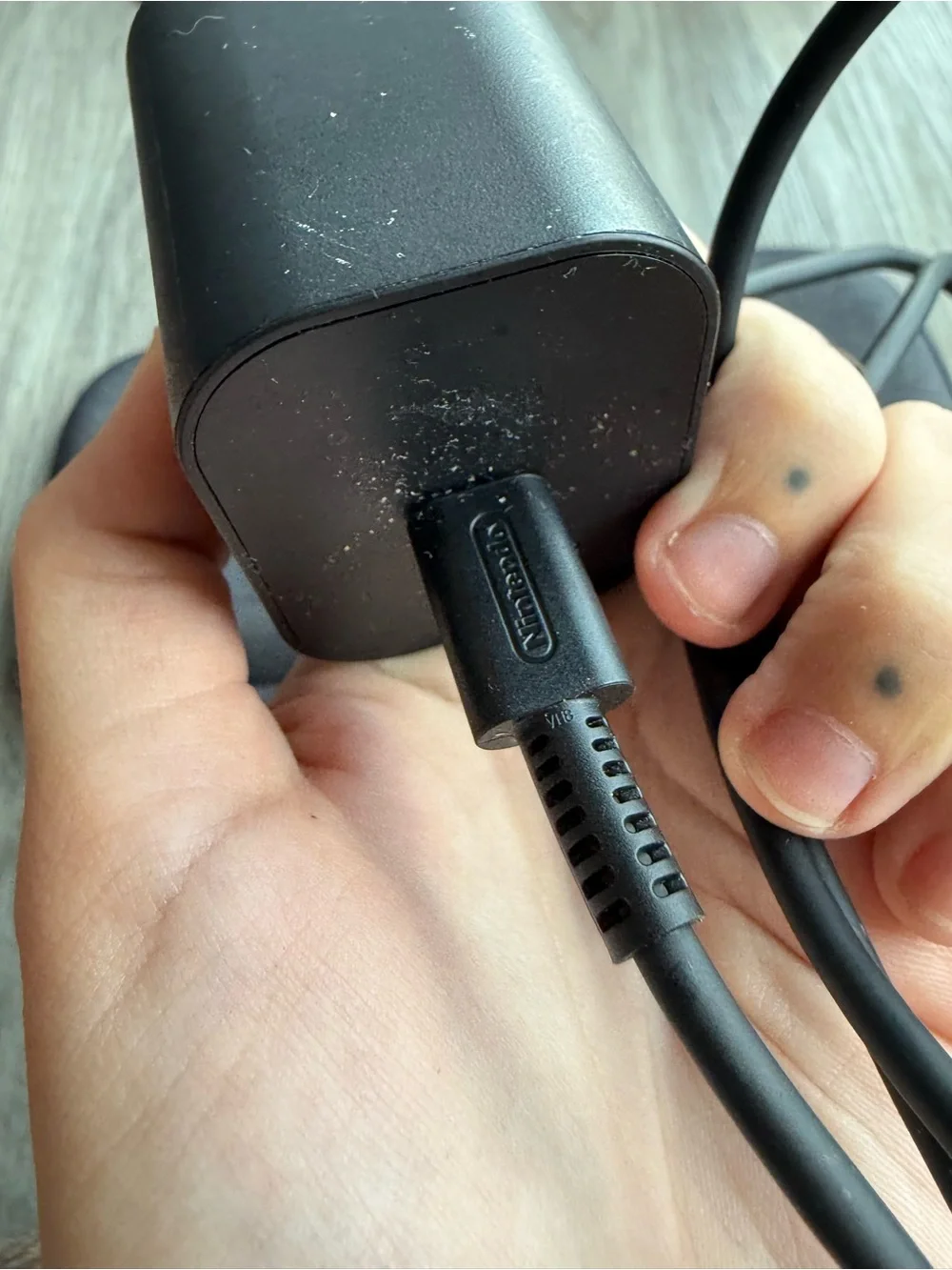 Nintendo portable switch