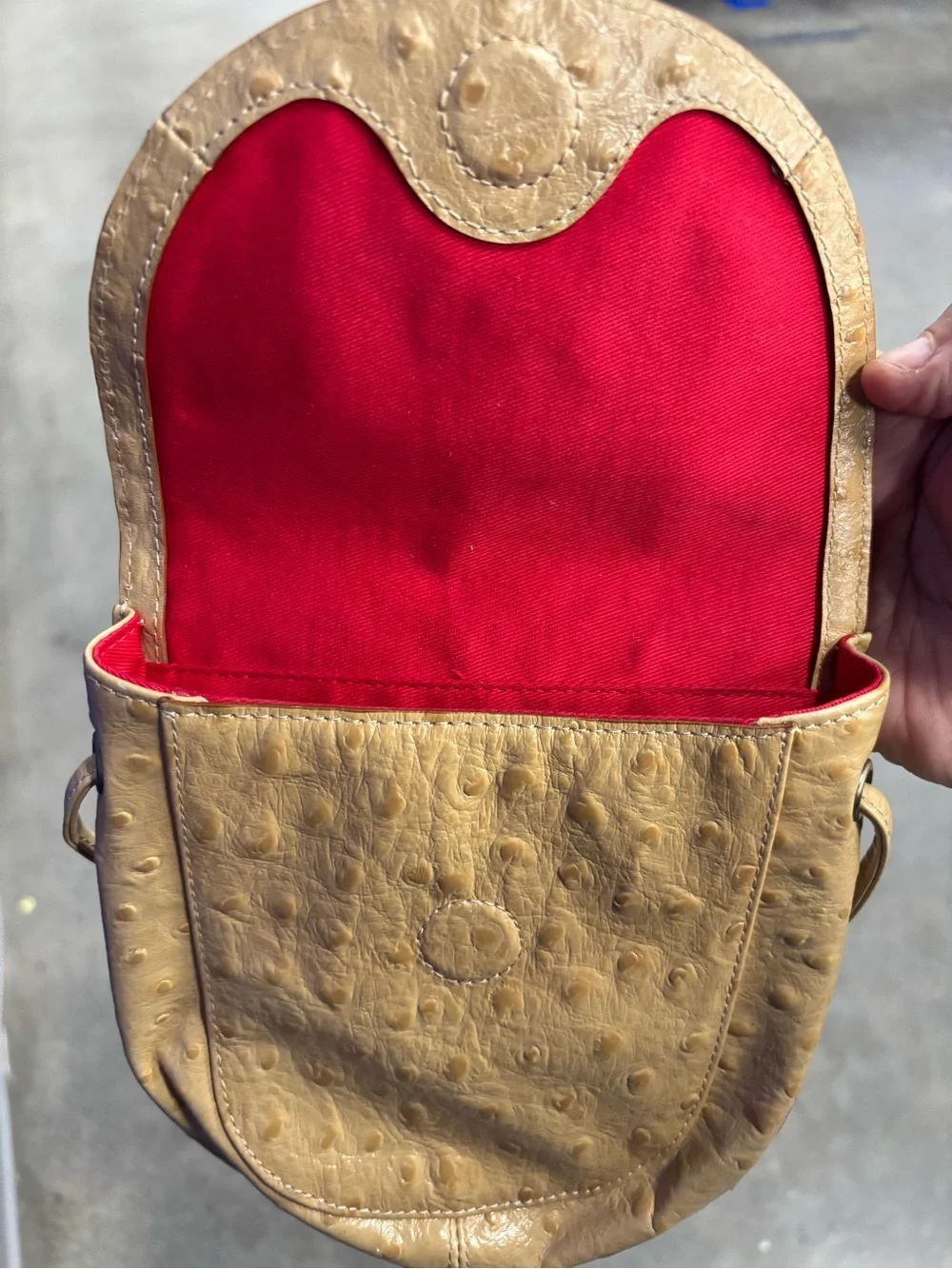 HOBO crossbody ostrich