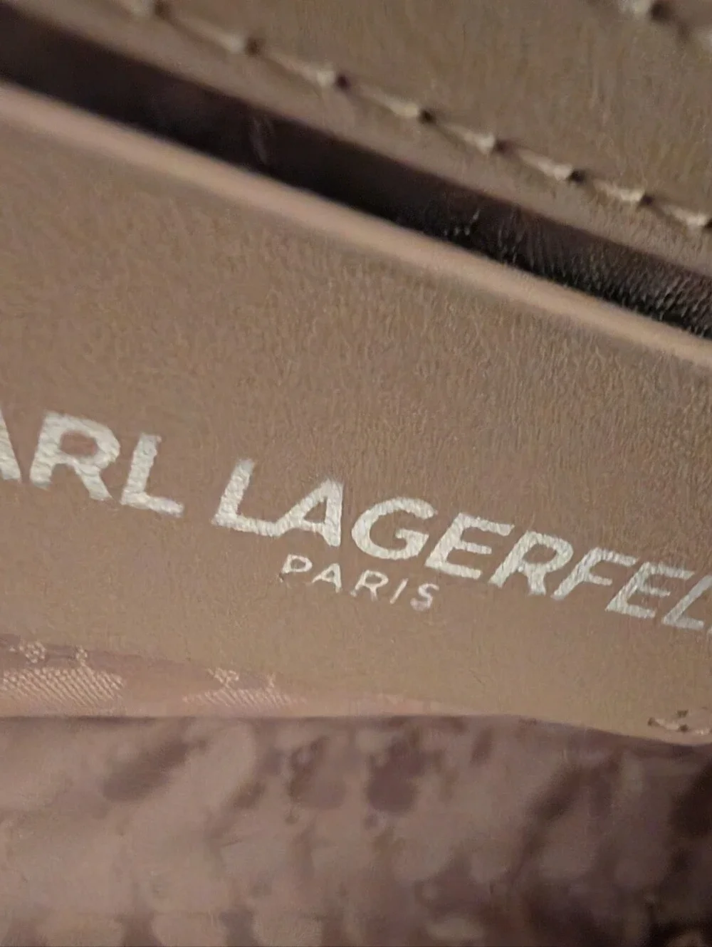 Karl Lagerfeld stylish karl